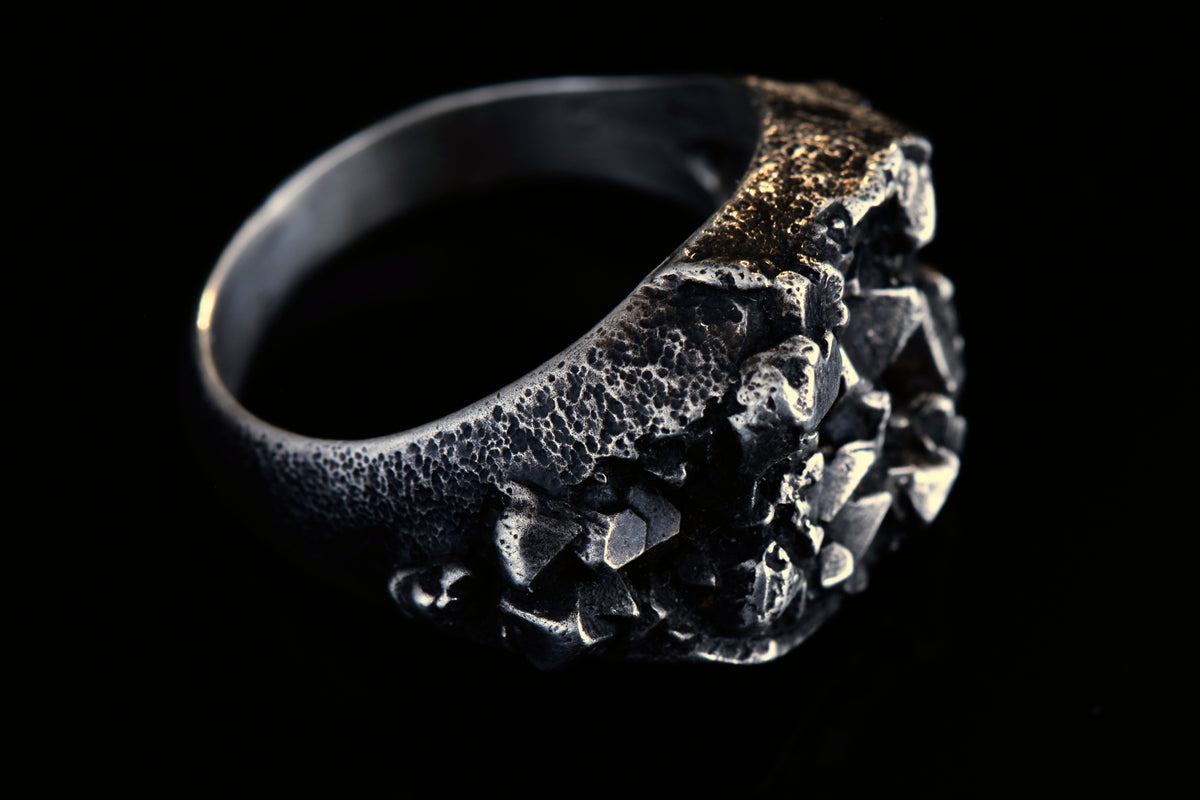 Kristallring mit Wachsenden Kristallen | Ovaler Siegelring Silber | Strukturierter Ring | Handgefertigter Schmuckring | Statement Schmuck | Goldschmiede Deutschland | Einzigartiger Ring | Avantgarde Schmuck | Besonderer Ring | Außergewöhnlicher Schmuck